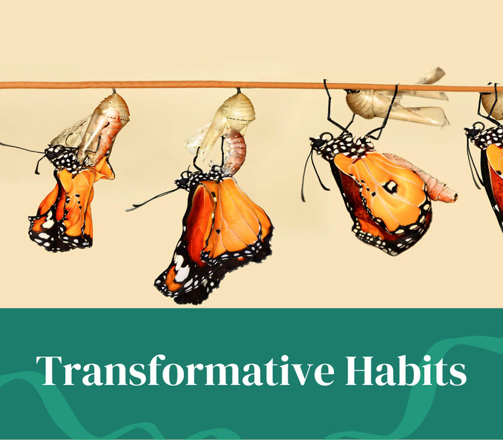 Transformative Habits for a Better Life